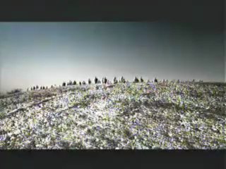 ADintrend779 toyota vigo(คนไทยสู้สุดใจ)