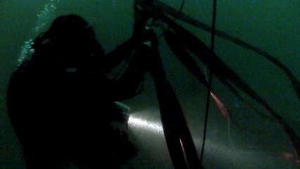 Deux torpilles allemandes de plus de 7 mètres neutralisées au large de Boulogne-sur-Mer