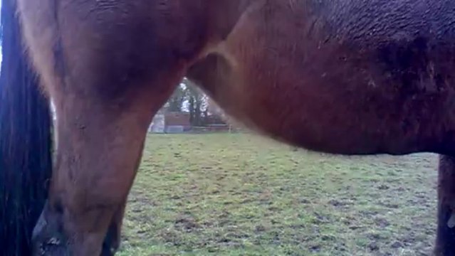 Izie 9 mois de gestation, et Bébé qui bouge!!