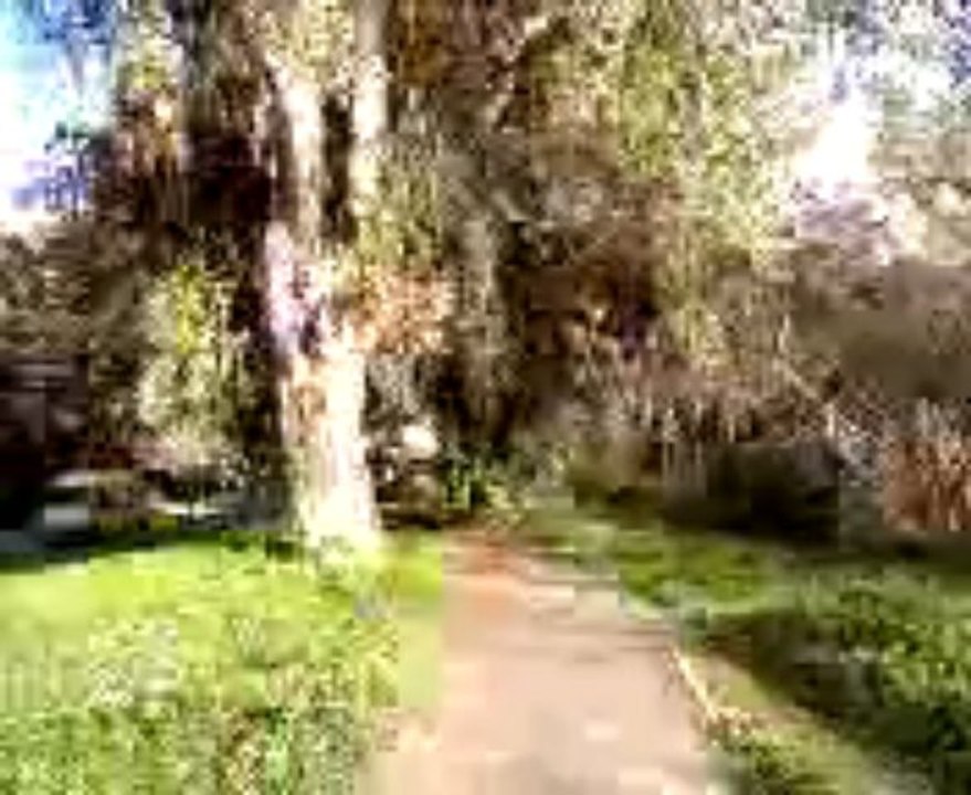 Visita al parco dell'Ardeatina in Roma