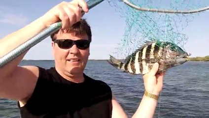 Зубастая рыба