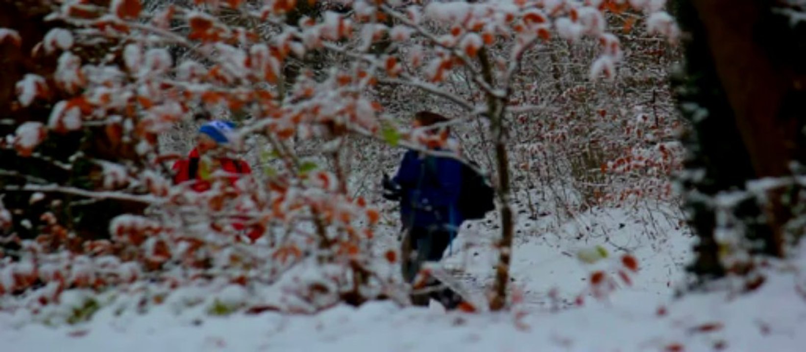 PREMIERE NEIGE AU BORD DE L'ILL