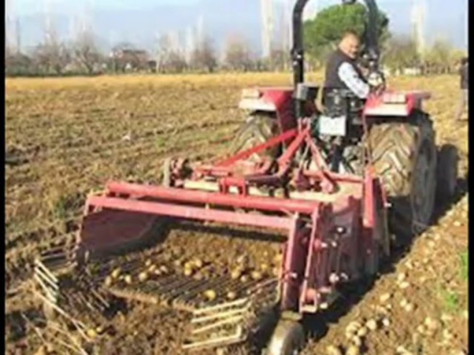 MUSTAFA TERECİ PATATES NİĞDE BABA OĞUL SAZ EKİBİ