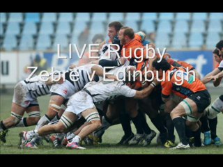 Super Rugby Zebre vs Edinburgh Live 29 March 2013