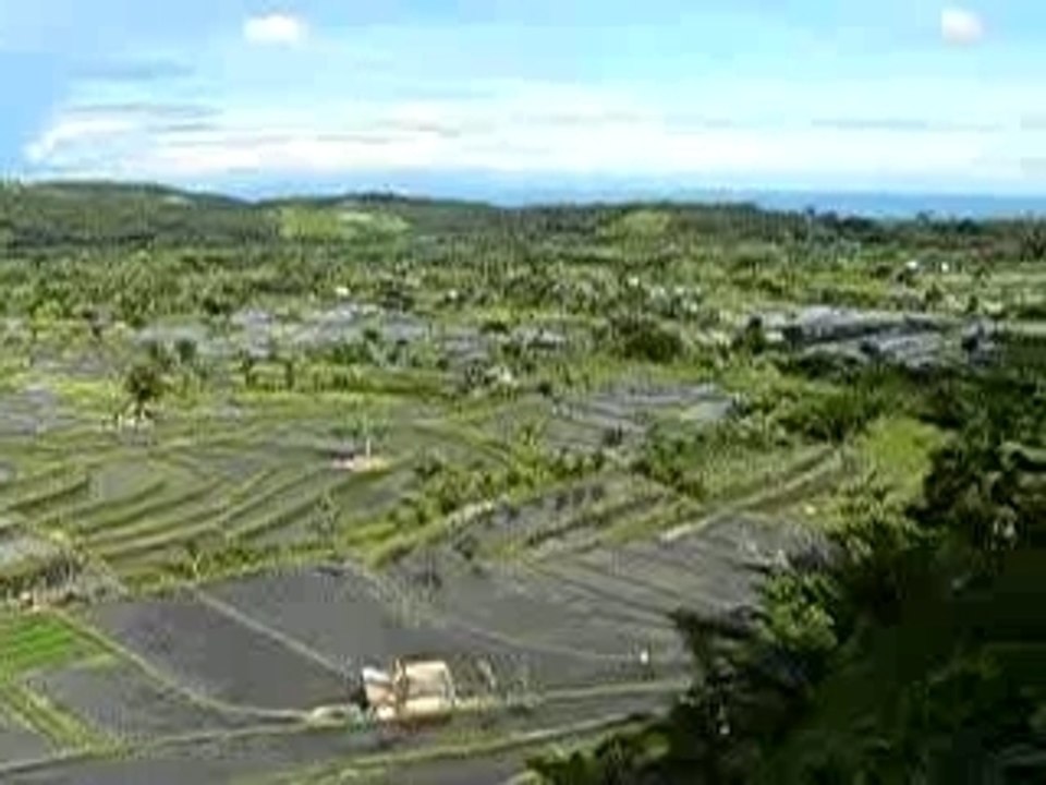 bali-rizieres-terrasses