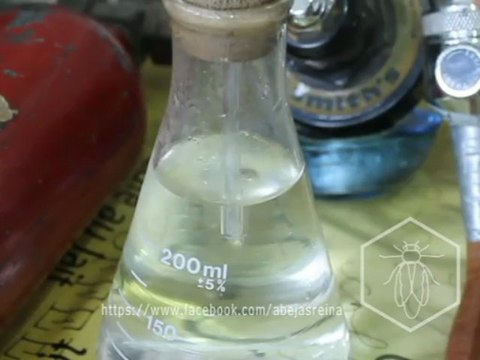 Inseminacion Instrumental de abejas reinas