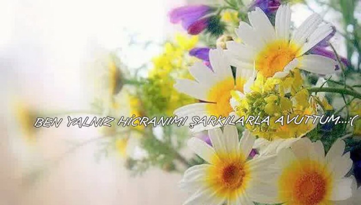 Onur Akay - Sevgilim sanma seni bir an olsun unuttum