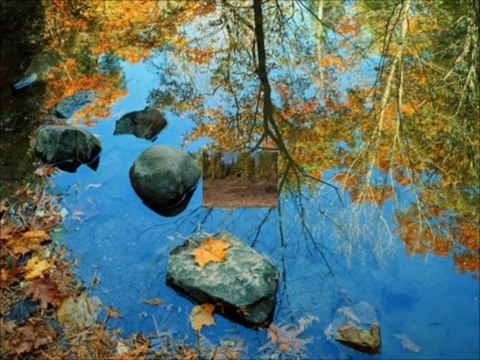 ΑΝΤΑΝΑΚΛΑΣΕΙΣ REFLECTIONS RÉFLEXIONS REFLEXIONES РАЗМЫШЛЕНИЯ