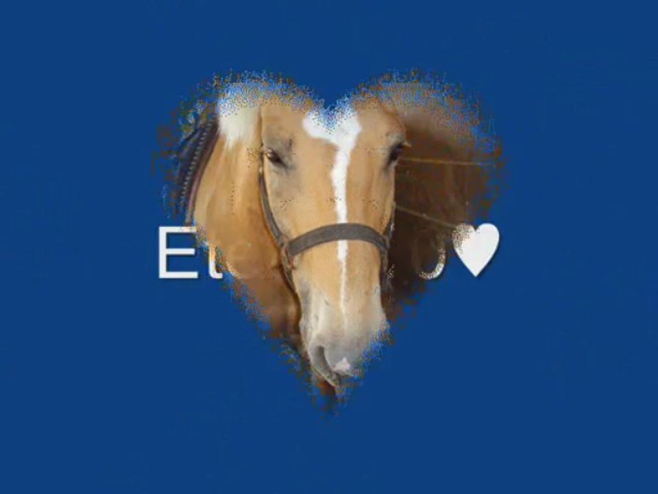 Flinger Depuis 3ans Déja♥