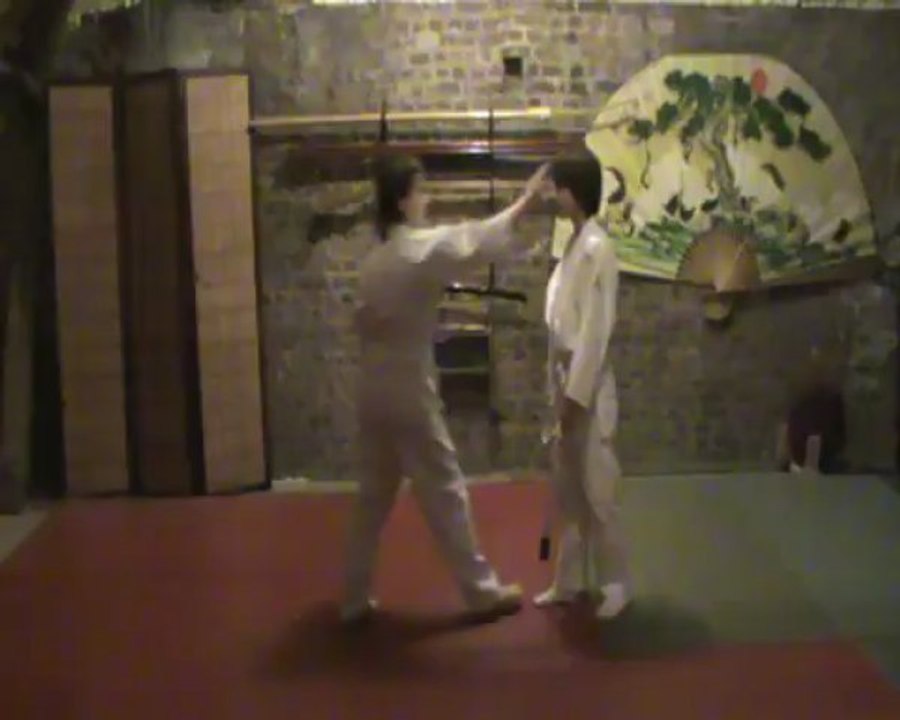 Ai hanmi Kami dori : waki gatame
