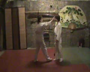 Ai hanmi Kami dori : waki gatame