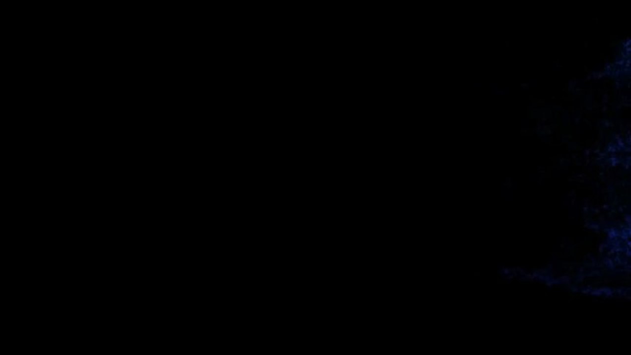 Port Royale 3 Trailer