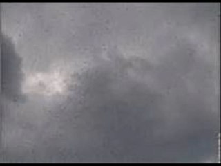 Mon Véritable Amour  Poème