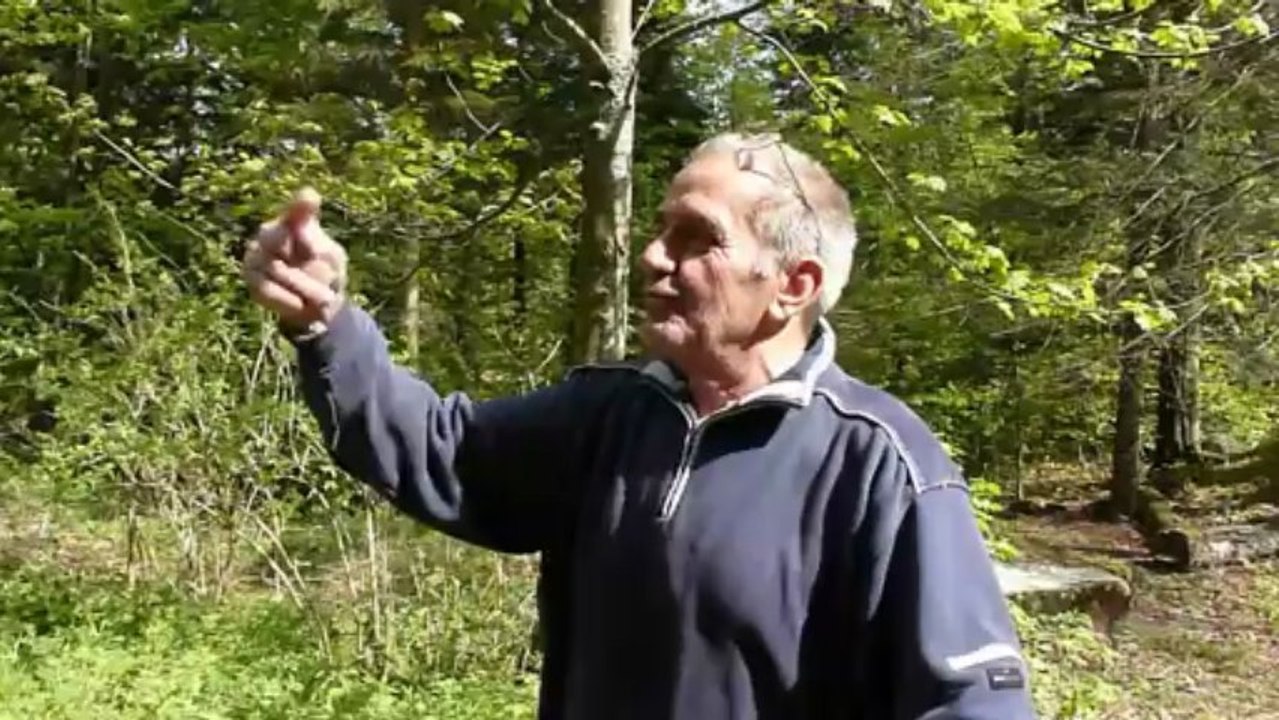 Gorski kotar-KRAJACEVA KUCA-JADICEVA PLAN-ZELENA KUCA-KOLOVRATSKE-W