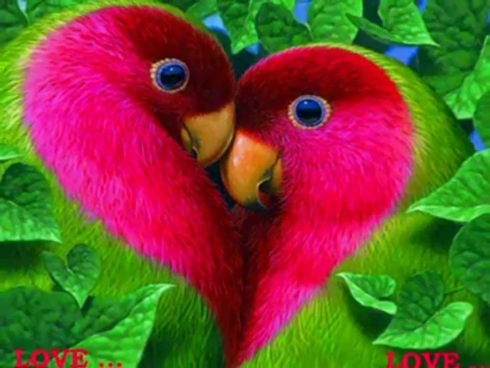 Etienne Drapeau Je l'ai jamais dit a personne Par Fernand