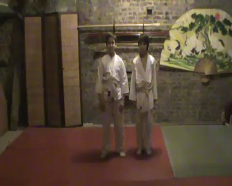 Yoko kubi gatame : ushiro aiki otoshi