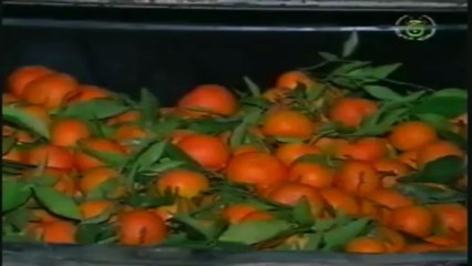 LE TRABENDO =CONTREBANDE