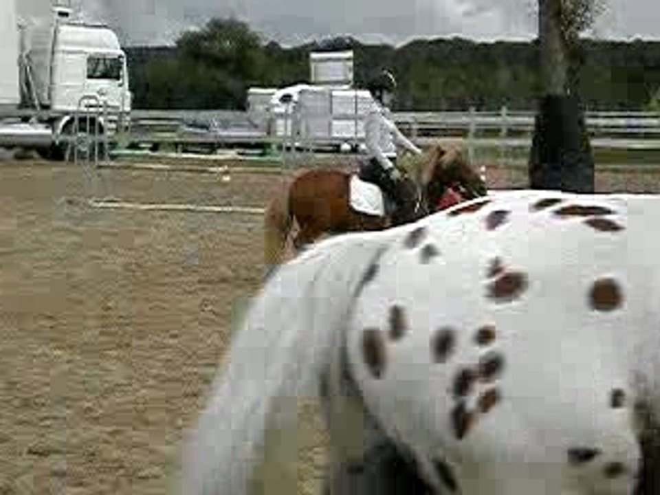 DSCN3402