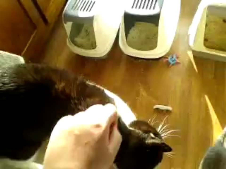 Tout est possible...