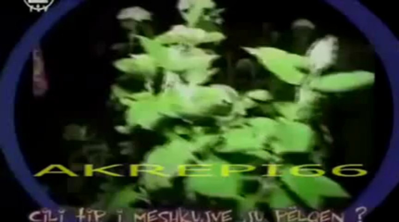 Adelina Ismaili - Leksikoni (Op Op njeri RTV21) 2005