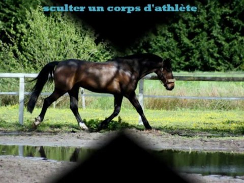 5 ans avec mon Rubis