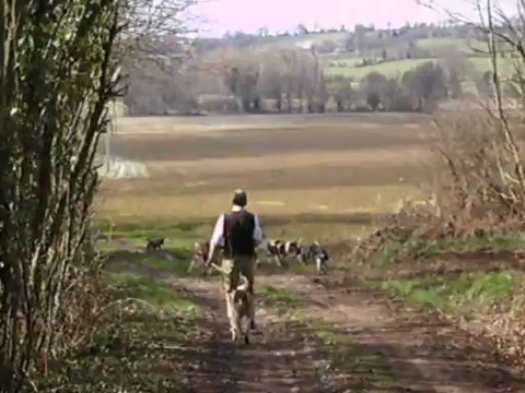 Vénerie du lièvre C : Le départ pour la chasse