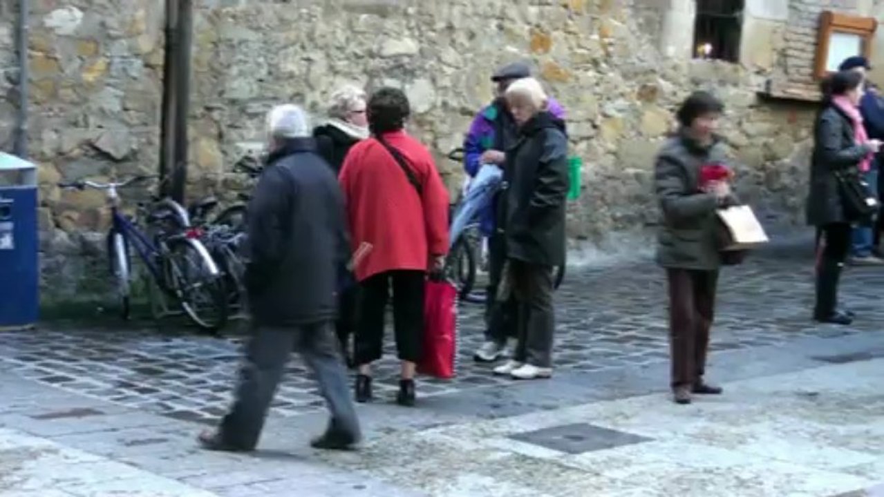 Voyage comité de jumelage Lons 06 03 2012