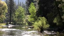 Stock Video - The River 04 clip 10 - Stock Footage - Video Backgrounds