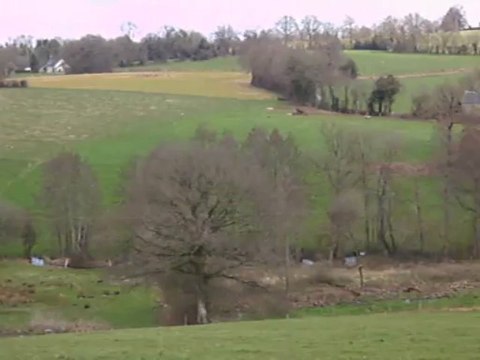 Vénerie du lièvre N : Le deuxième défaut à la rivière