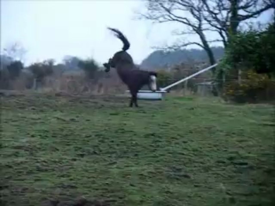 24 mars 2013 - champs