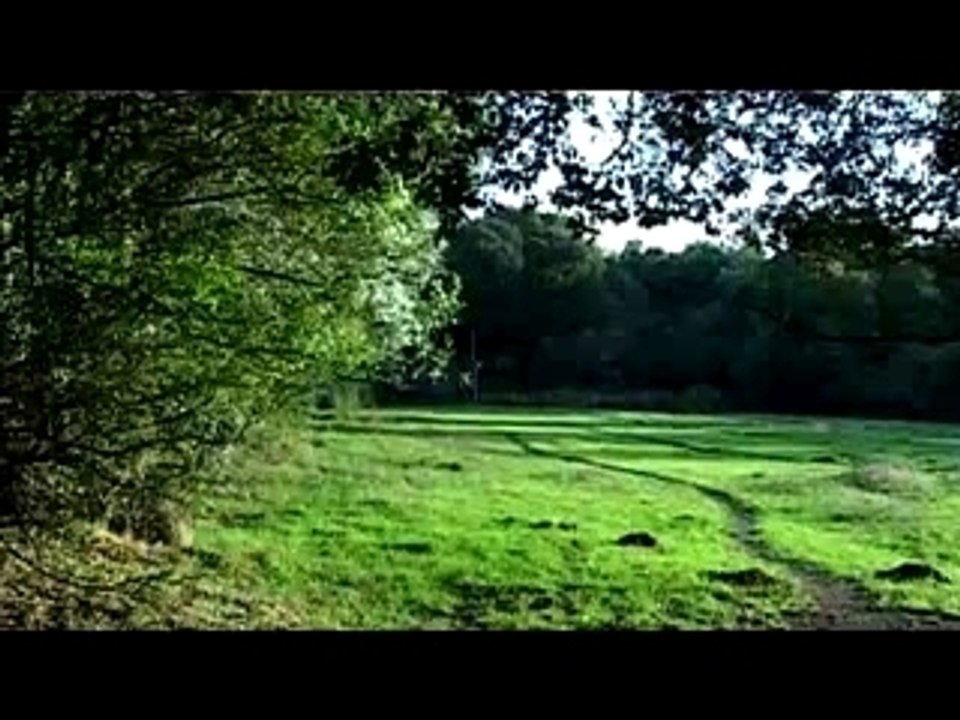 Maboul Distorsion : Les Mêm