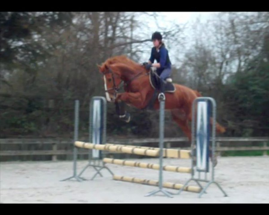 Violette MJ 24/03/2013