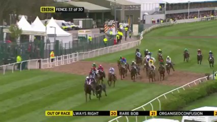Grand National 2012 Full Race - Neptune Collonges