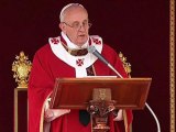 Raw: Pope Francis celebrates Palm Sunday