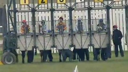 24.03.2013 Curragh (IRL) 4.Race Park Express Stakes 2013 - Group III 1.609 m