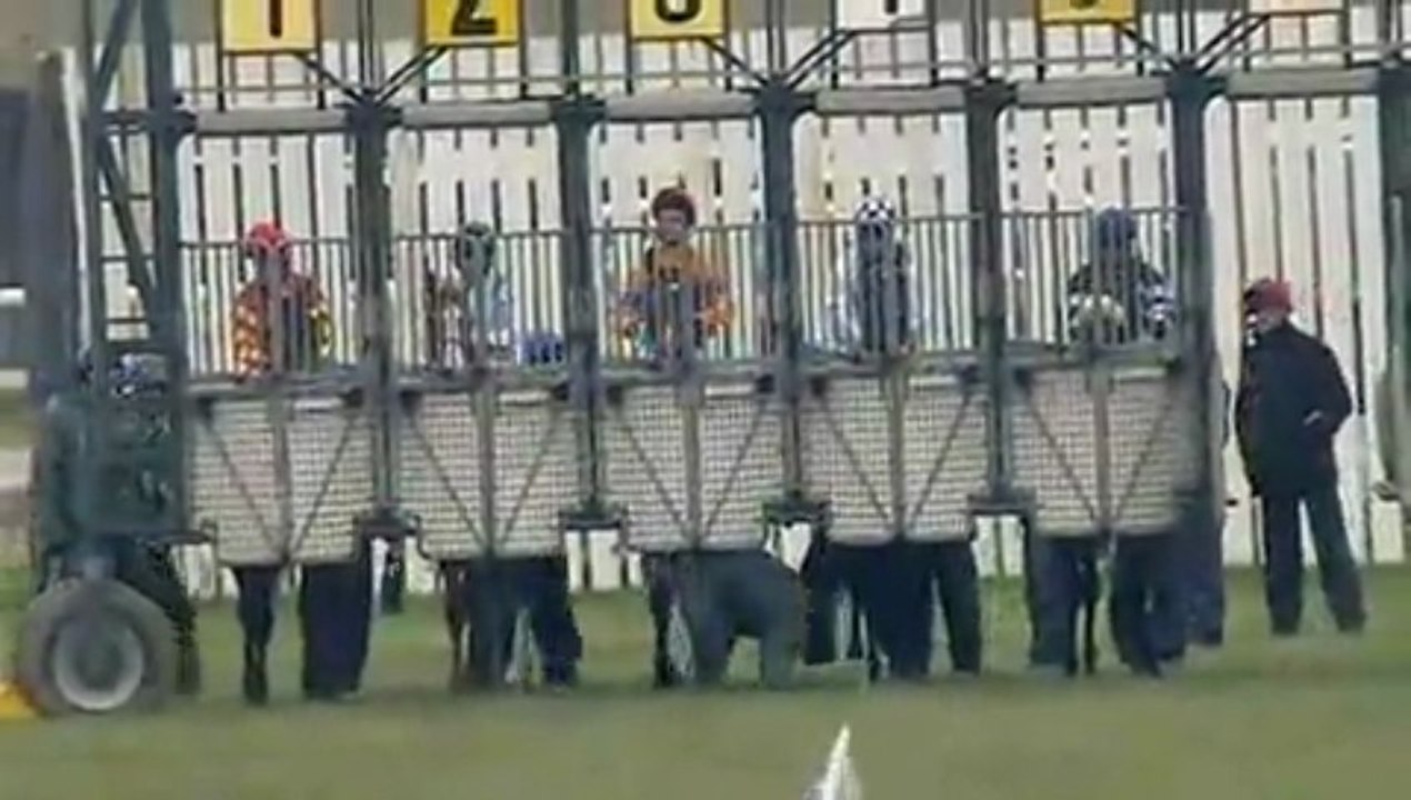 24.03.2013 Curragh (IRL) 4.Race Park Express Stakes 2013 - Group III 1.609 m