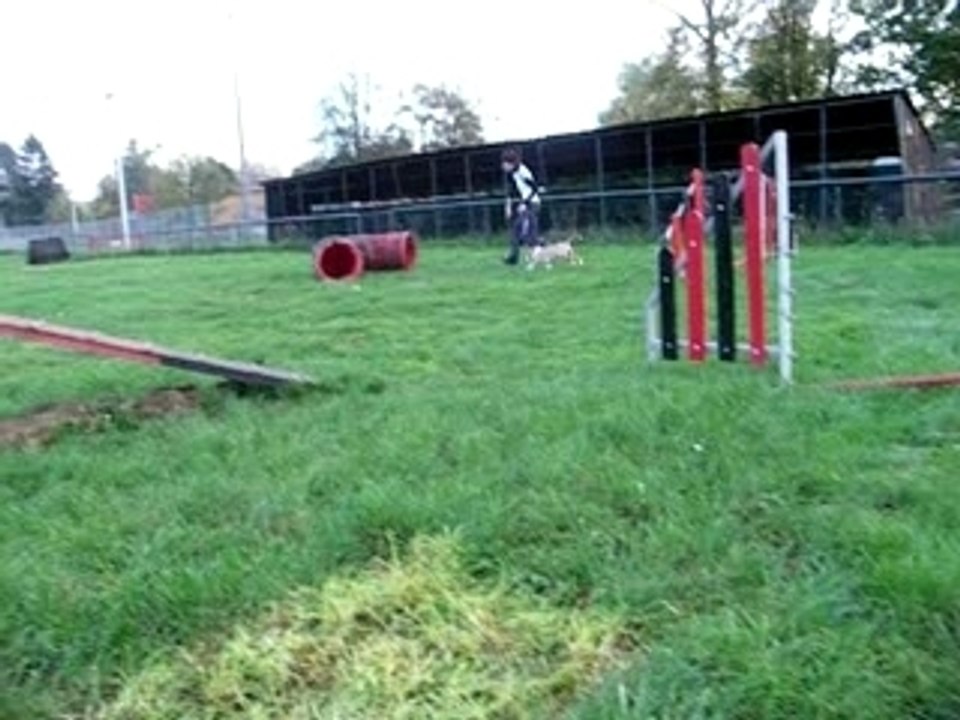 bamba a l'agilityy