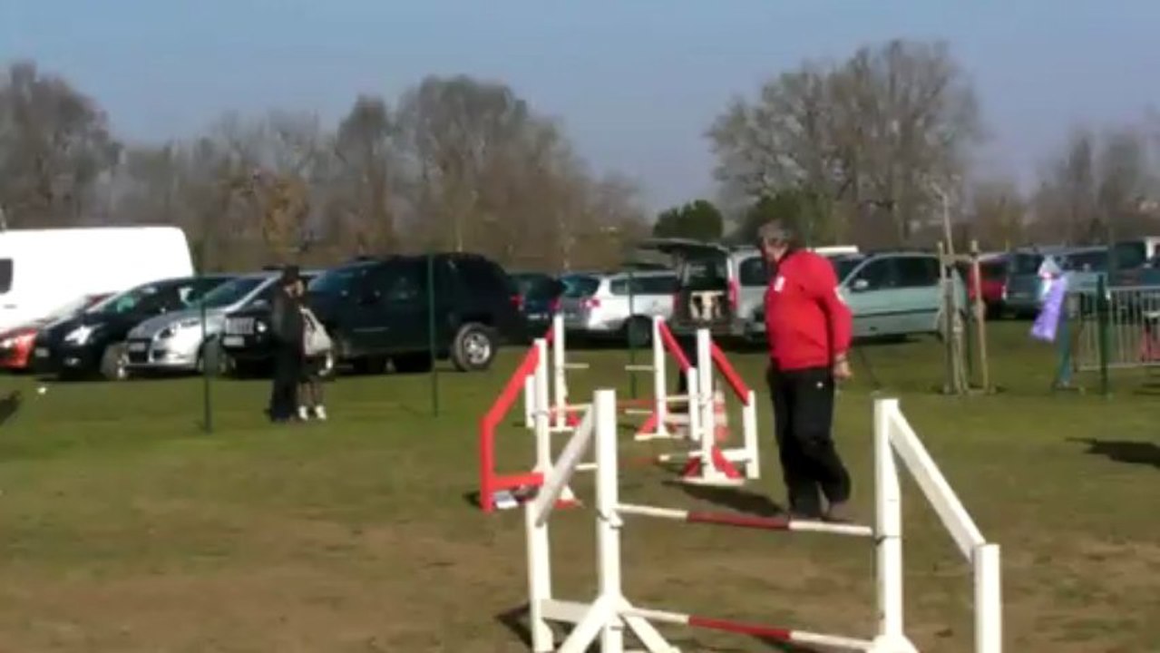 Dominique & Voling TVA 3 mars 2013 GPF
