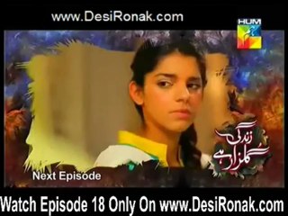 Zindagi Gulzar Hai Episode 18 - 29th March 2013