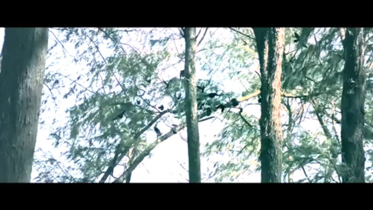 SATAN - Yo Yo Honey Singh -Full Song HD -S.A.T.A.N -12.12.12 _utorrentmusic.blogspot.com