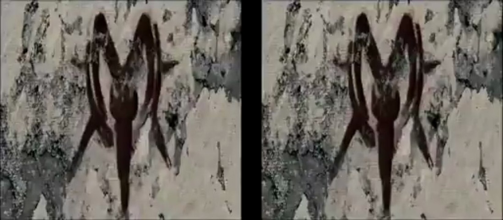 film Sinister Bande annonce VF