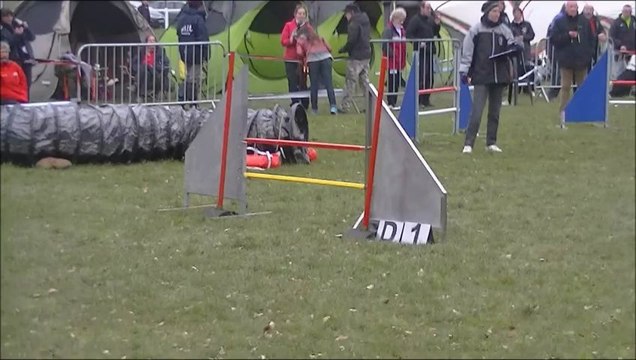 Alcia Lion d'Angers 24.03.13