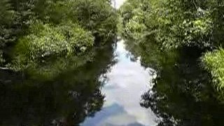 borneo-riviere-jungle