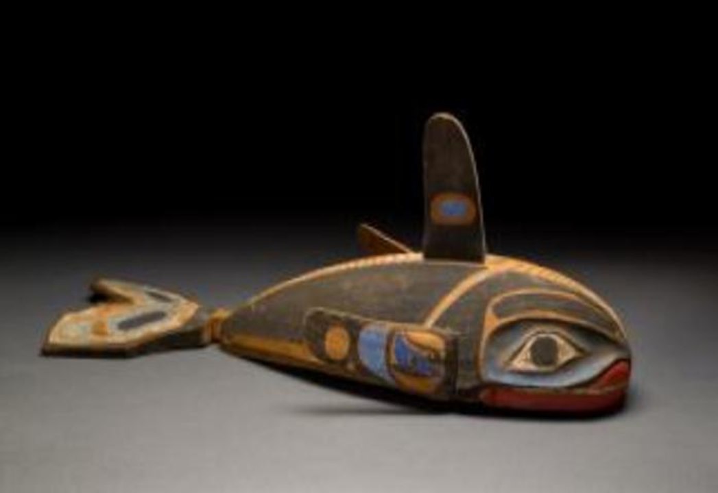 Whale Exhibit At Museum Of Natural History Highlights Majestic Giants