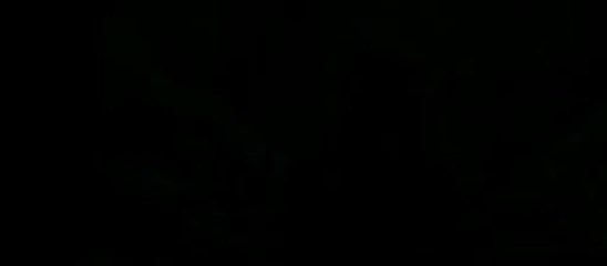 Vive la France Bande Annonce Teaser Bienvenue dans le Sud Ouest