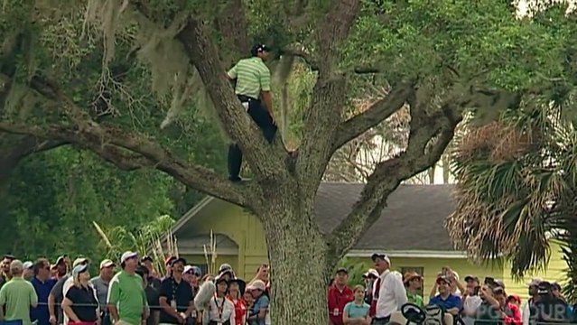 Golf : Sergio Garcia grimpe à un arbre