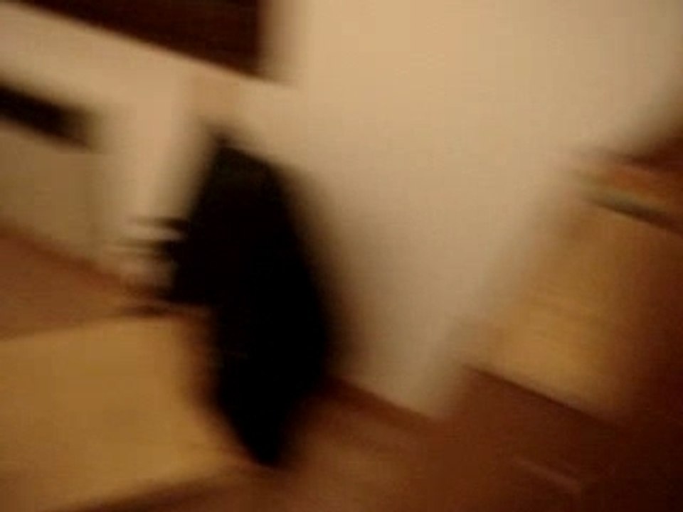 RIGOLO 2