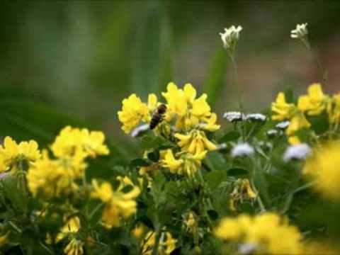 Nesrin ULUSU Ne zalim kaderdir.