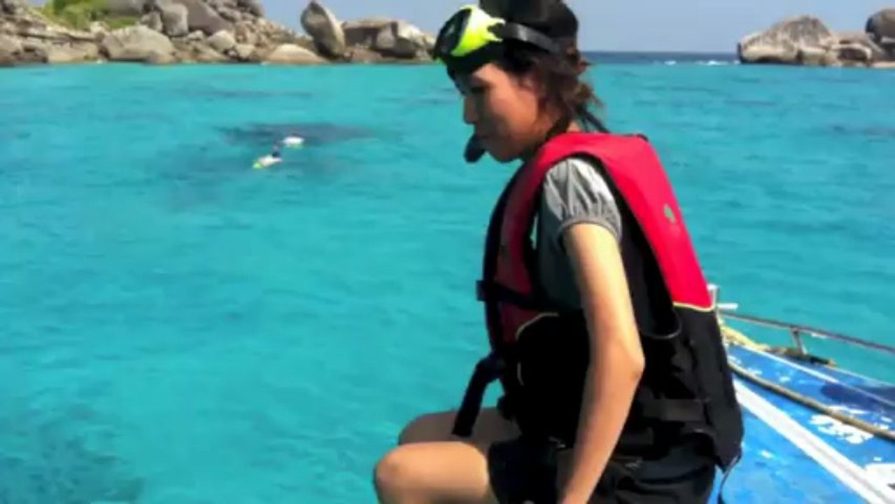 Arai wha trip