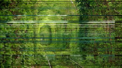 Nella Fantasia-Narcis Iustin